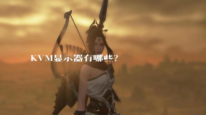 KVM显示器有哪些？